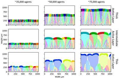 Lineage dynamics in growing biofilms: Spatial patterns of standing vs. de novo diversity